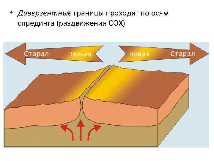  • Дивергентные границы проходят по осям спрединга (раздвижения СОХ) 