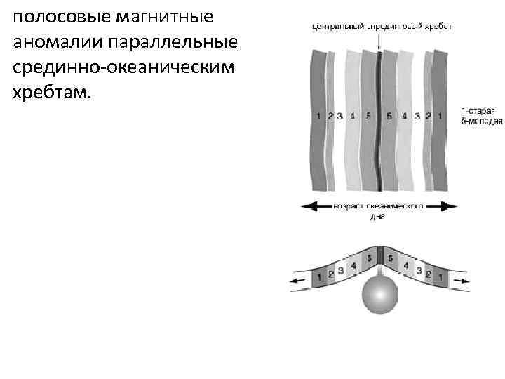 полосовые магнитные аномалии параллельные срединно-океаническим хребтам. 