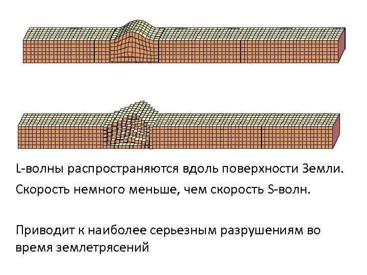 L-волны распространяются вдоль поверхности Земли. Скорость немного меньше, чем скорость S-волн. Приводит к наиболее