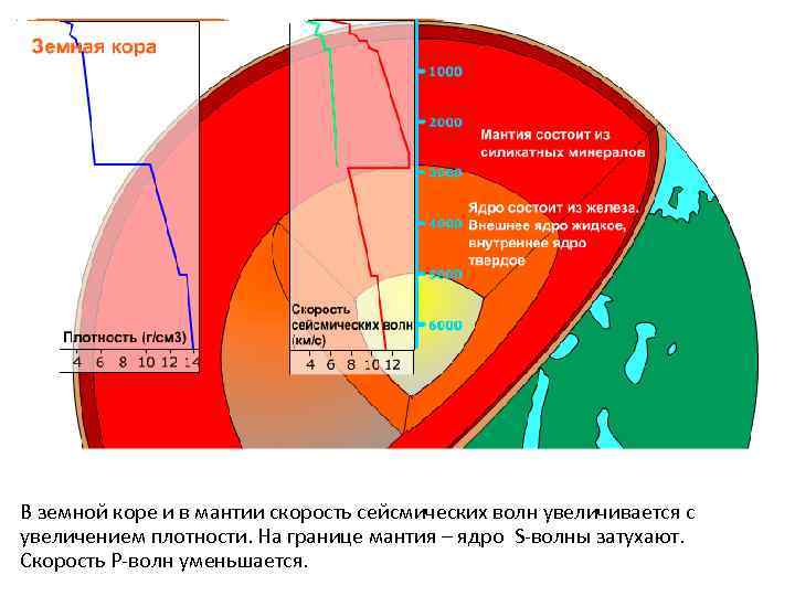 В земной коре и в мантии скорость сейсмических волн увеличивается с увеличением плотности. На