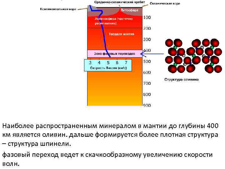 Наиболее распространенным минералом в мантии до глубины 400 км является оливин. дальше формируется более