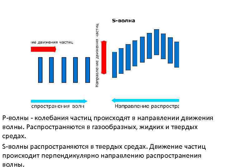 Р-волны - колебания частиц происходят в направлении движения волны. Распространяются в газообразных, жидких и