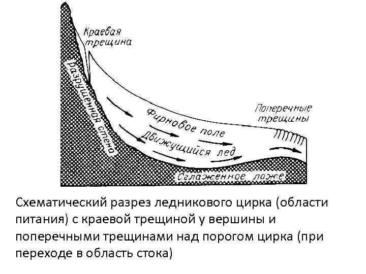 Схематический разрез ледникового цирка (области питания) с краевой трещиной у вершины и поперечными трещинами