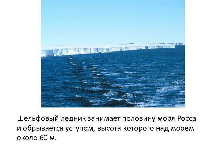 Шельфовый ледник занимает половину моря Росса и обрывается уступом, высота которого над морем около