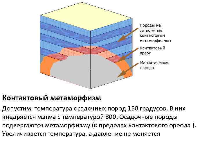 Контактовый метаморфизм Допустим, температура осадочных пород 150 градусов. В них внедряется магма с температурой
