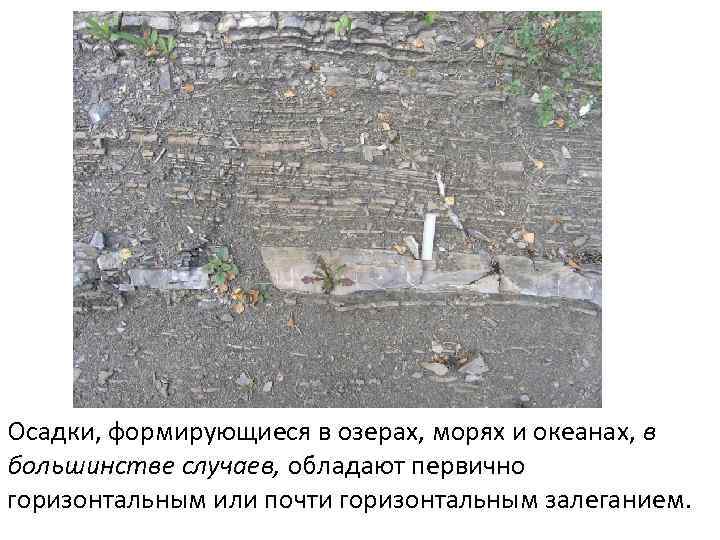 Осадки, формирующиеся в озерах, морях и океанах, в большинстве случаев, обладают первично горизонтальным или