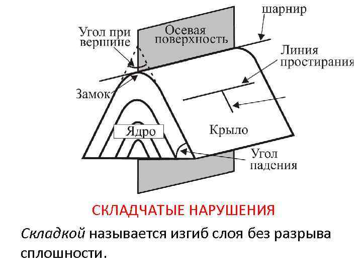 СКЛАДЧАТЫЕ НАРУШЕНИЯ Складкой называется изгиб слоя без разрыва сплошности. 