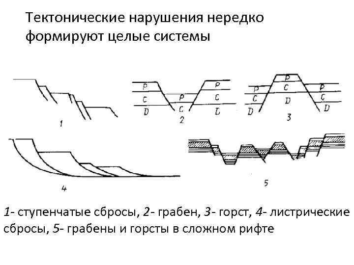 Тектонические нарушения нередко формируют целые системы 1 - ступенчатые сбросы, 2 - грабен, 3