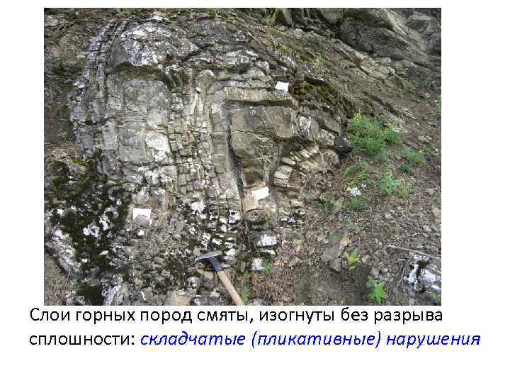 Слои горных пород смяты, изогнуты без разрыва сплошности: складчатые (пликативные) нарушения 
