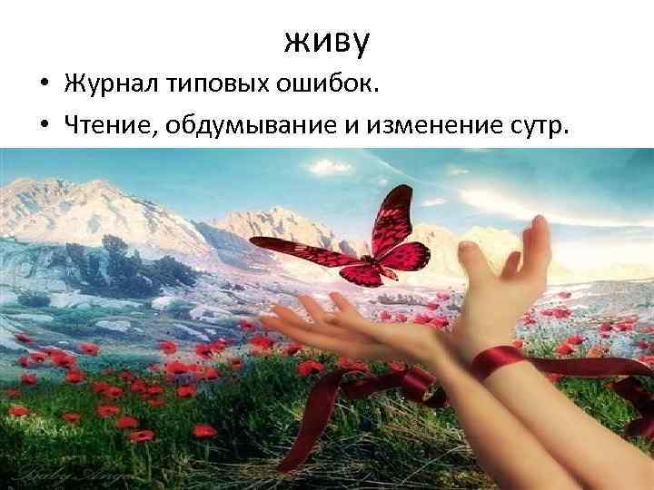 живу • Журнал типовых ошибок. • Чтение, обдумывание и изменение сутр. 