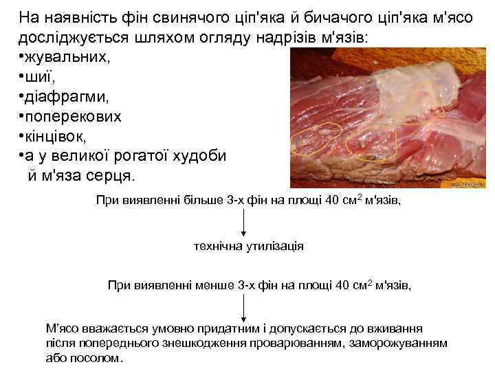 На наявність фін свинячого ціп'яка й бичачого ціп'яка м'ясо досліджується шляхом огляду надрізів м'язів: