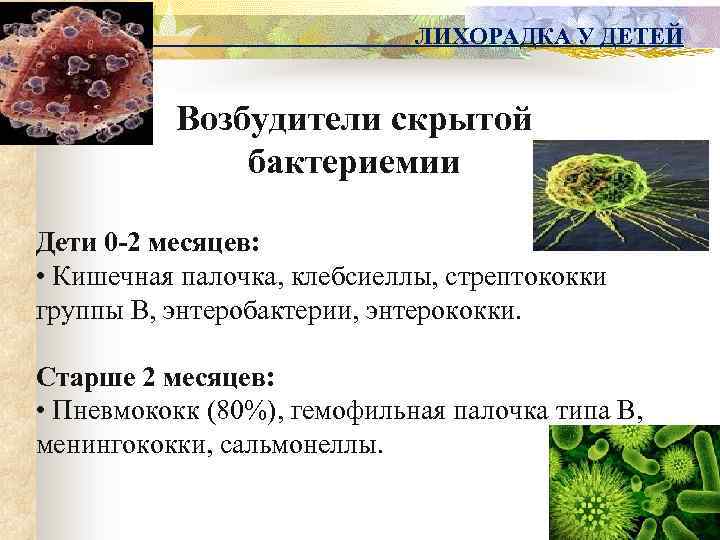ЛИХОРАДКА У ДЕТЕЙ Возбудители скрытой бактериемии Дети 0 -2 месяцев: • Кишечная палочка, клебсиеллы,