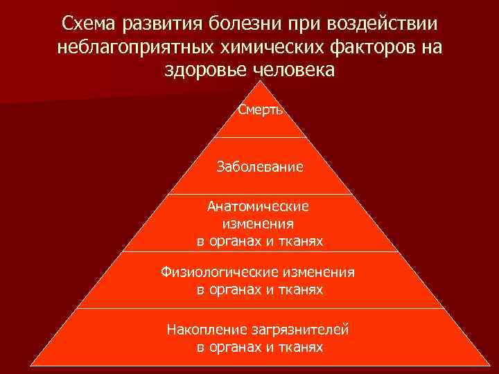 Схема развития болезни при воздействии неблагоприятных химических факторов на здоровье человека Смерть Заболевание Анатомические
