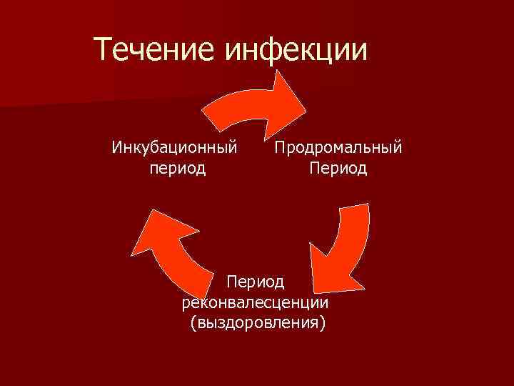 Течение инфекции Инкубационный период Продромальный Период реконвалесценции (выздоровления) 