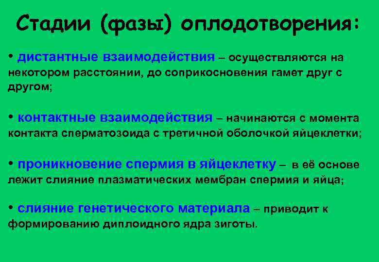 Стадии (фазы) оплодотворения: • дистантные взаимодействия – осуществляются на некотором расстоянии, до соприкосновения гамет