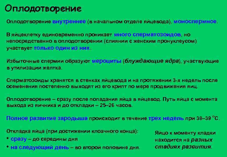 Оплодотворение внутреннее (в начальном отделе яйцевода), моноспермное. В яйцеклетку единовременно проникает много сперматозоидов, но