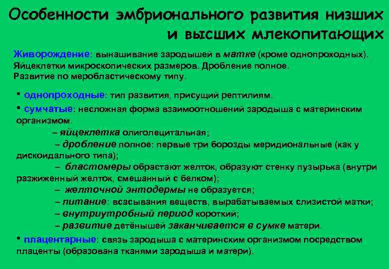 Особенности эмбрионального развития низших и высших млекопитающих Живорождение: вынашивание зародышей в матке (кроме однопроходных).