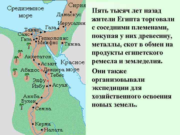 Пять тысяч лет назад жители Египта торговали с соседними племенами, покупая у них древесину,