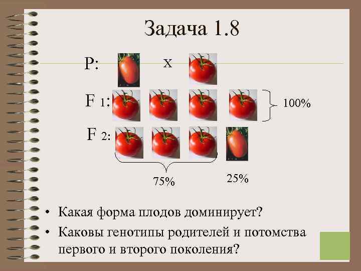  Задача 1. 8 Р: Х F 1: 100% F 2: 75% 25% •