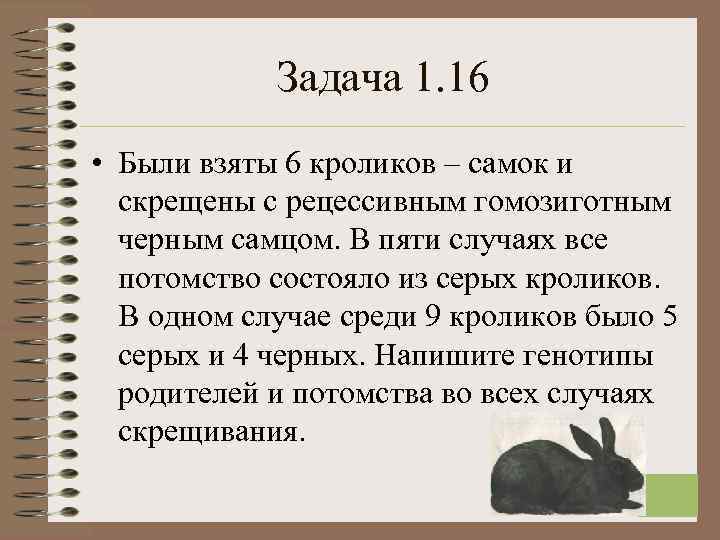  Задача 1. 16 • Были взяты 6 кроликов – самок и скрещены с