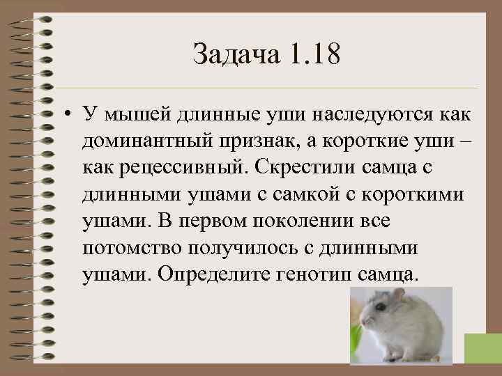  Задача 1. 18 • У мышей длинные уши наследуются как доминантный признак, а