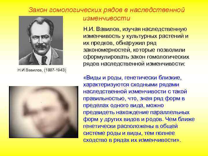 Закон гомологических рядов в наследственной изменчивости Н. И. Вавилов, изучая наследственную изменчивость у культурных
