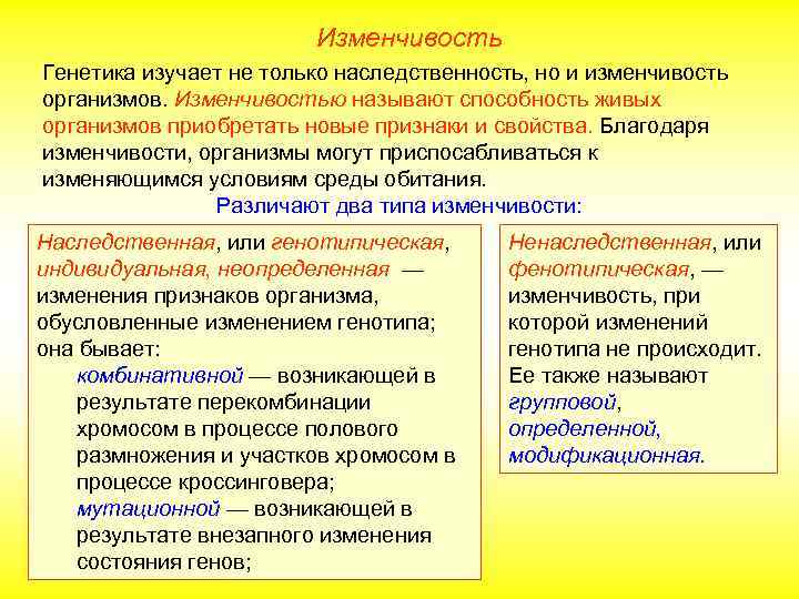 Изменчивость Генетика изучает не только наследственность, но и изменчивость организмов. Изменчивостью называют способность живых