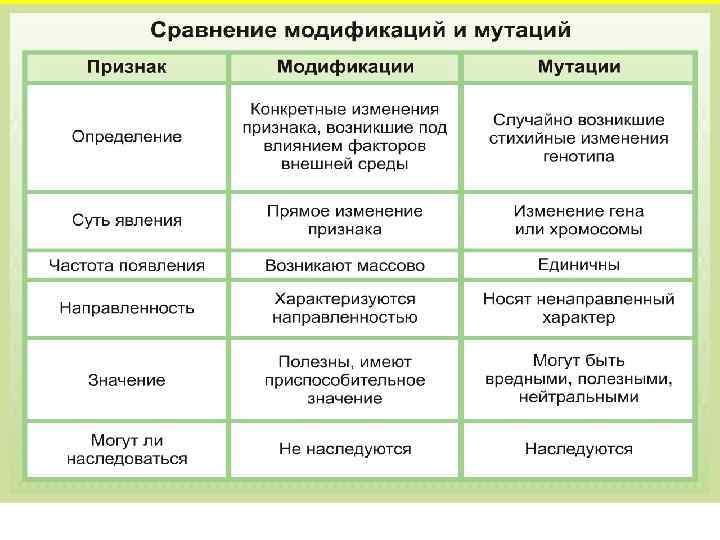 Приведите примеры наследственной и ненаследственной изменчивости проявляющиеся у человека на рисунке