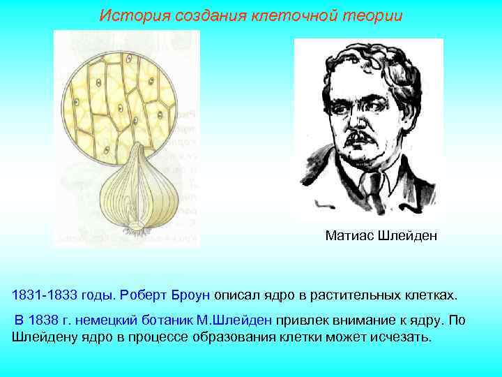 История создания клеточной теории Матиас Шлейден 1831 -1833 годы. Роберт Броун описал ядро в