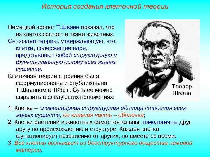 История создания клеточной теории Немецкий зоолог Т. Шванн показал, что из клеток состоят и