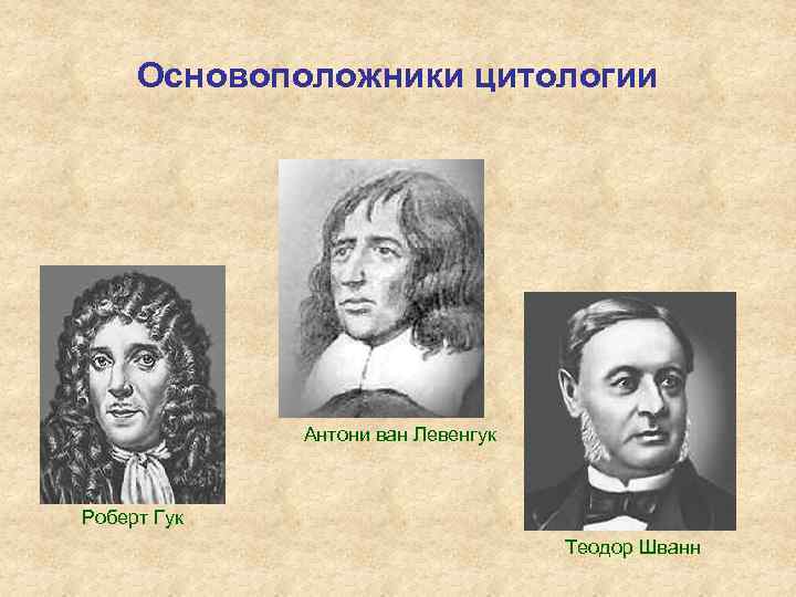 Основоположники цитологии Антони ван Левенгук Роберт Гук Теодор Шванн 