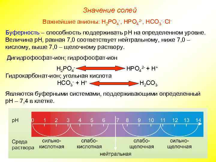 Значение солей Важнейшие анионы: Н 2 РО 4 -, НРО 42 -, НСО 3