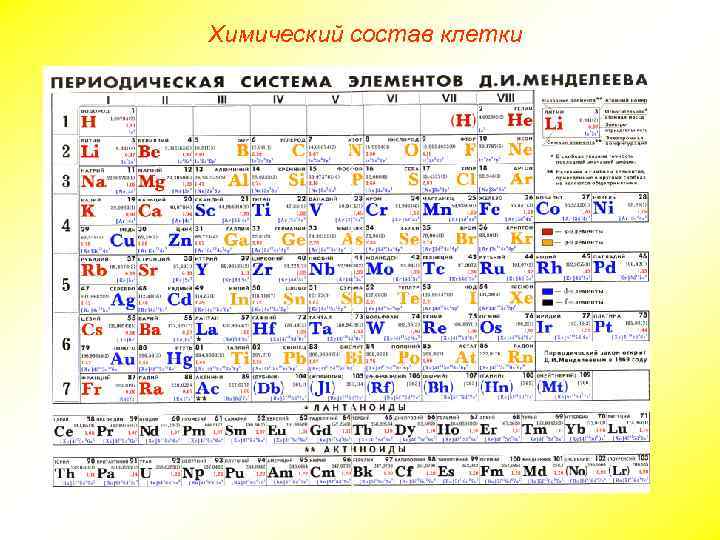 Химический состав клетки 