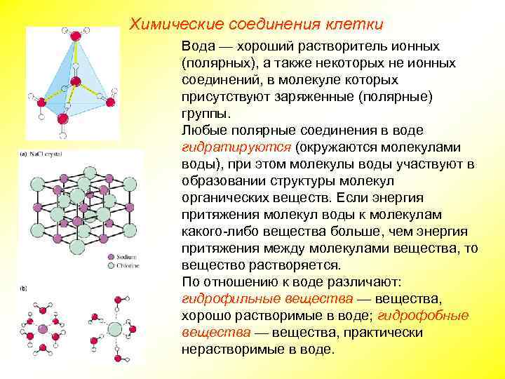 Химические соединения клетки Вода — хороший растворитель ионных (полярных), а также некоторых не ионных