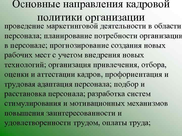Основные направления кадровой политики организации • проведение маркетинговой деятельности в области персонала; планирование потребности