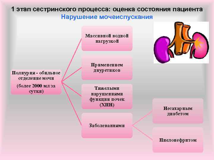 1 этап сестринского процесса: оценка состояния пациента Нарушение мочеиспускания Массивной водной нагрузкой Полиурия -