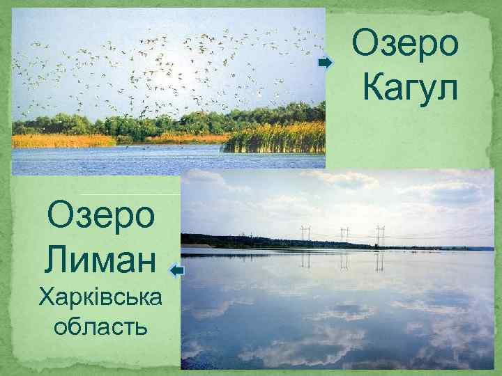 Озеро Кагул Озеро Лиман Харківська область 