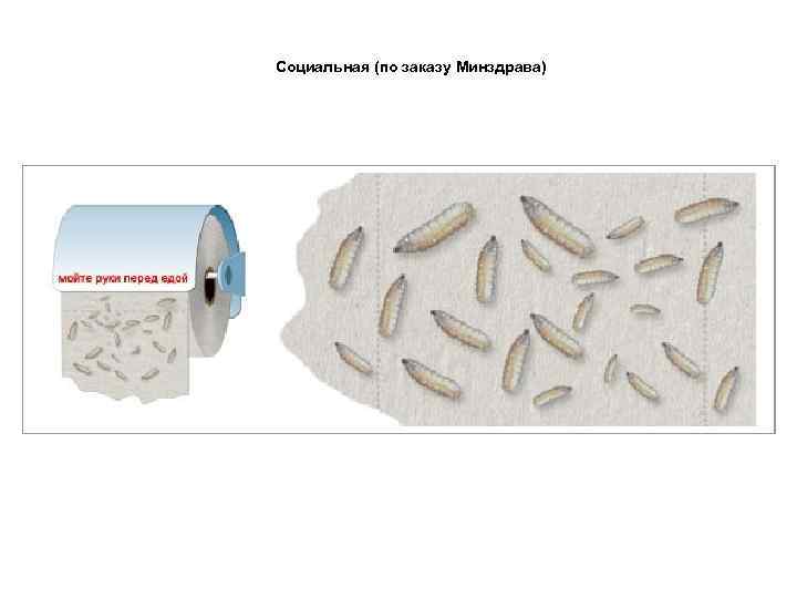 Социальная (по заказу Минздрава) 
