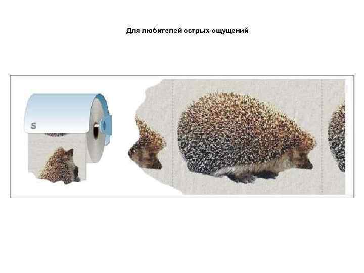 Для любителей острых ощущений 