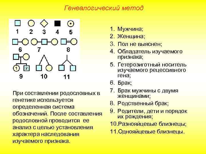 Проект генеалогический метод исследования