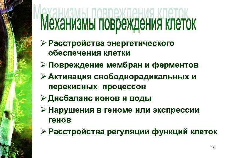 Ø Расстройства энергетического обеспечения клетки Ø Повреждение мембран и ферментов Ø Активация свободнорадикальных и