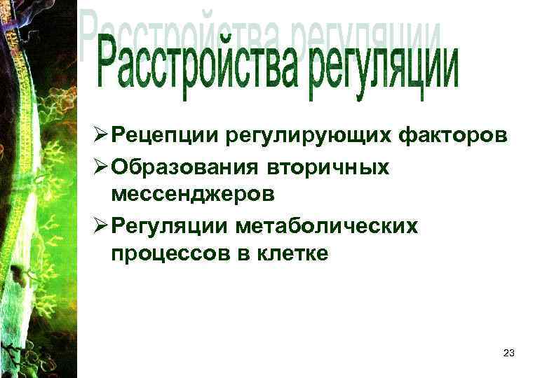 Ø Рецепции регулирующих факторов Ø Образования вторичных мессенджеров Ø Регуляции метаболических процессов в клетке