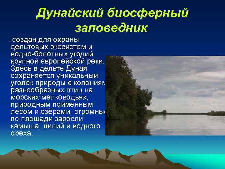 Дунайский биосферный заповедник - создан для охраны дельтовых экосистем и водно-болотных угодий крупной европейской
