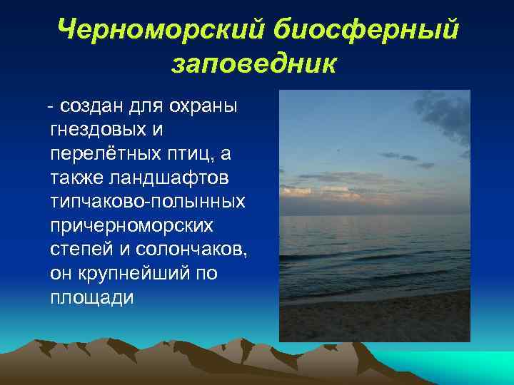 Черноморский биосферный заповедник - создан для охраны гнездовых и перелётных птиц, а также ландшафтов