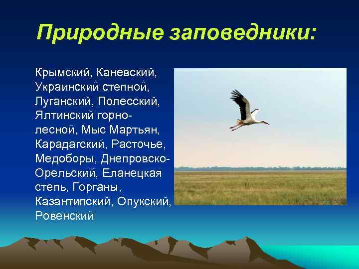 Природные заповедники: Крымский, Каневский, Украинский степной, Луганский, Полесский, Ялтинский горнолесной, Мыс Мартьян, Карадагский, Расточье,