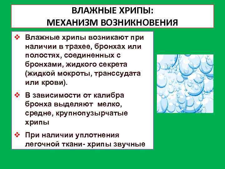 ВЛАЖНЫЕ ХРИПЫ: МЕХАНИЗМ ВОЗНИКНОВЕНИЯ v Влажные хрипы возникают при наличии в трахее, бронхах или