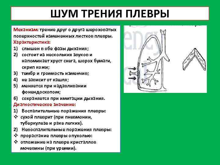 Машинный шум при аускультации