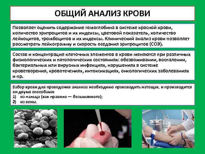 ОБЩИЙ АНАЛИЗ КРОВИ Позволяет оценить содержание гемоглобина в системе красной крови, количество эритроцитов и