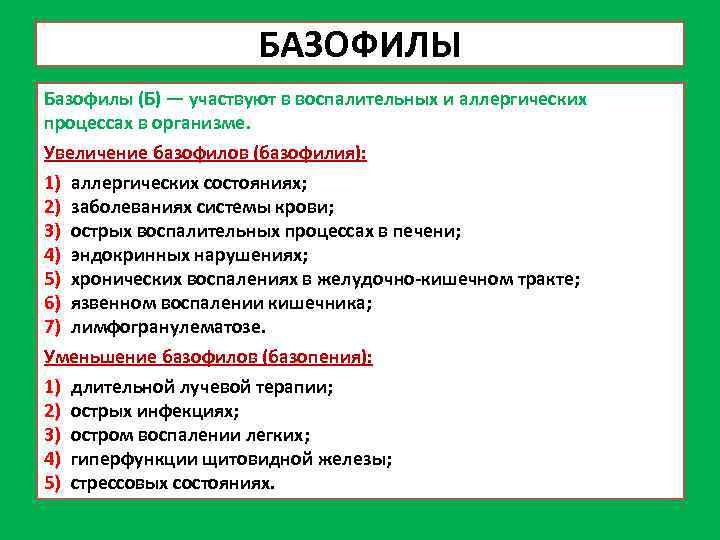БАЗОФИЛЫ Базофилы (Б) — участвуют в воспалительных и аллергических процессах в организме. Увеличение базофилов