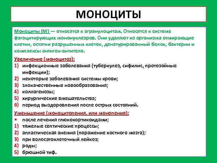 МОНОЦИТЫ Моноциты (М) — относятся к агранулоцитам. Относятся к системе фагоцитирующих мононуклеаров. Они удаляют